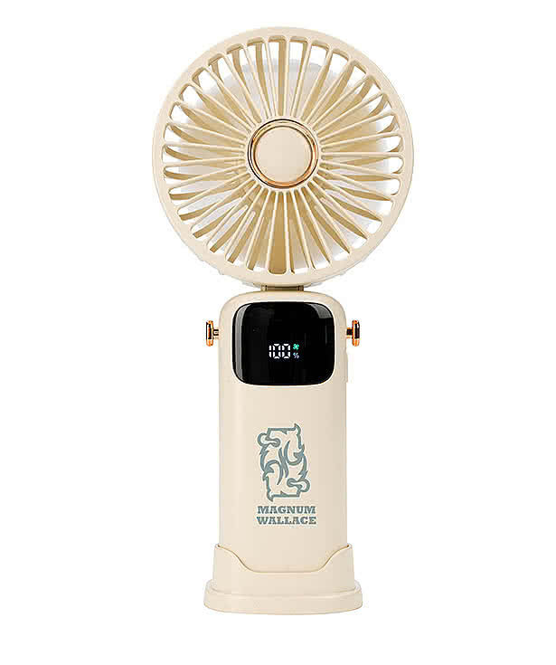 Rechargeable Mini Handheld Fan