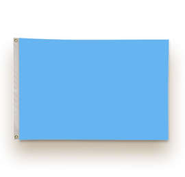 Full Color 2' x 3' Single Sided Nylon Flag - Color: Columbia Blue