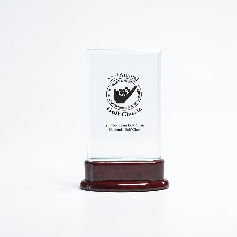 Statute Large Award