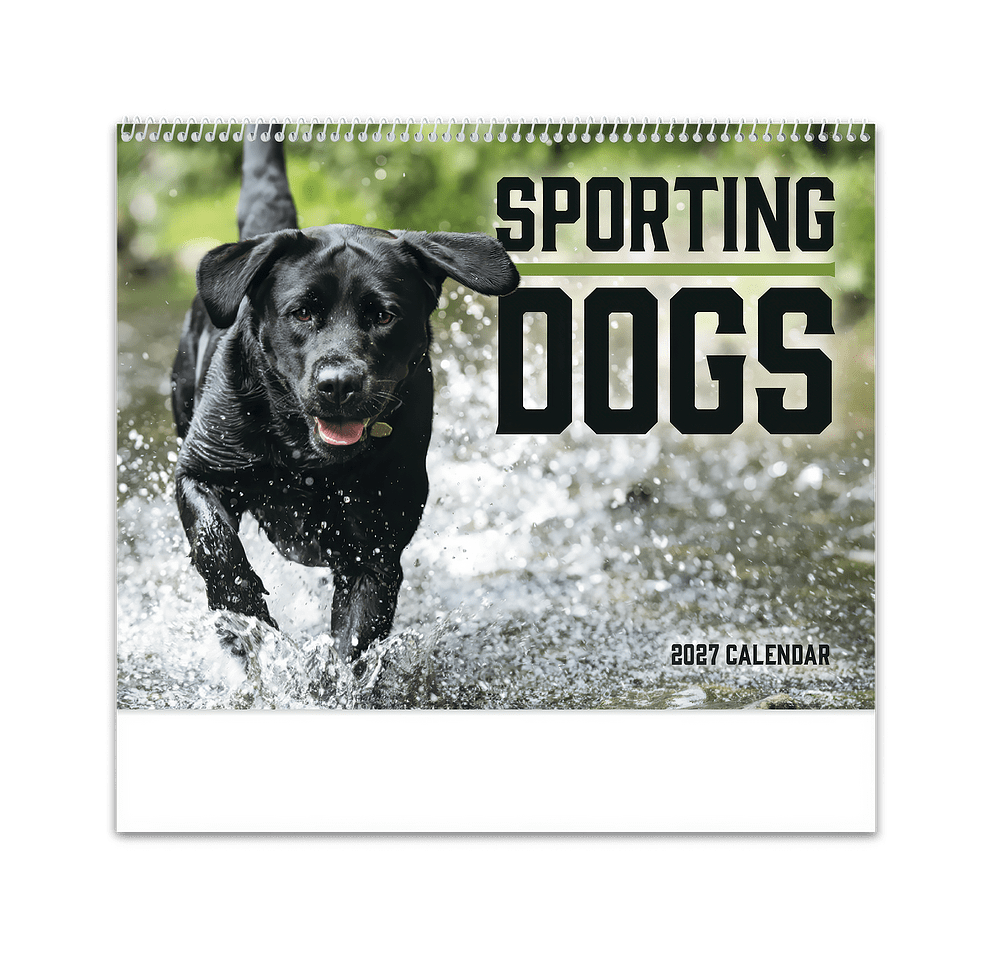 Sporting Dogs Spiral Wall Calendar-default