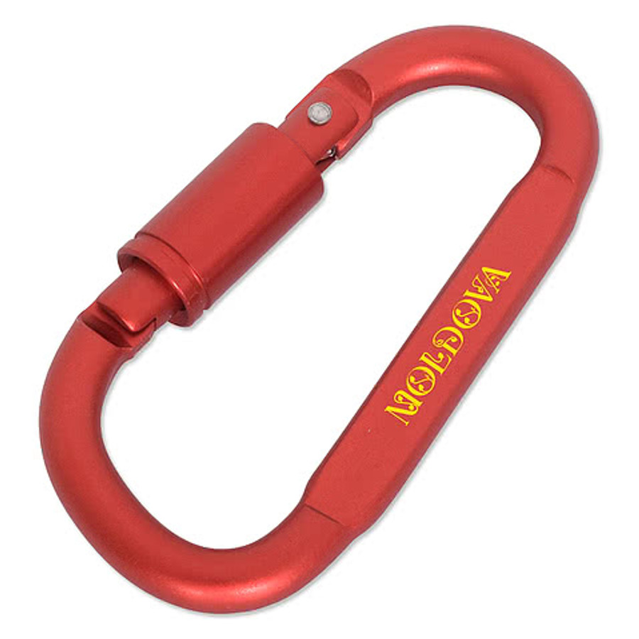 Best Buddy Tools D-Ring Carabiner with Lock in Gunmetal
