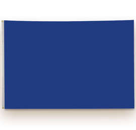 Full Color 4' x 6' Double Sided Nylon Flag - Color: Royal Blue