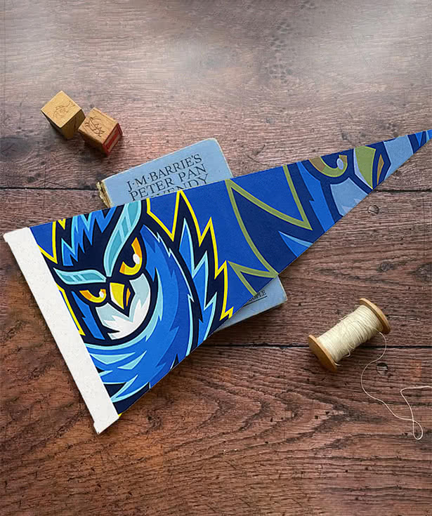 Full Color 4" x 10" Pennant