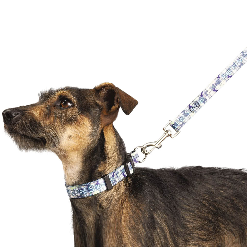 Full Color 5 ft. Premium Pet Leash, 3/4" Wide