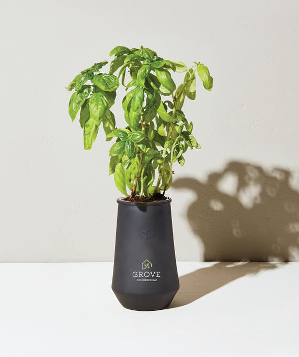 Modern Sprout Tapered Tumbler Grow Kit