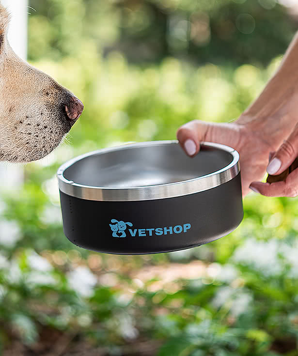 40 oz. Stainless Steel Pet Bowl