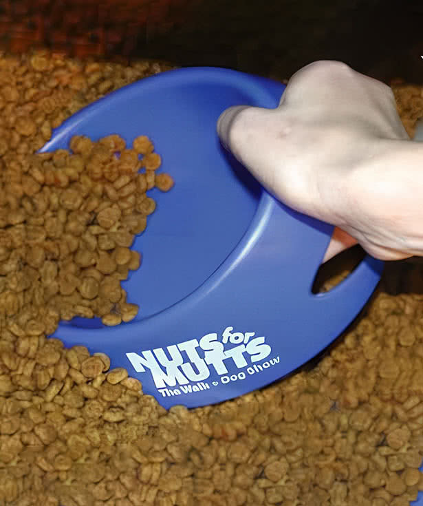 10 oz. Scoop-It Pet Food Bowl
