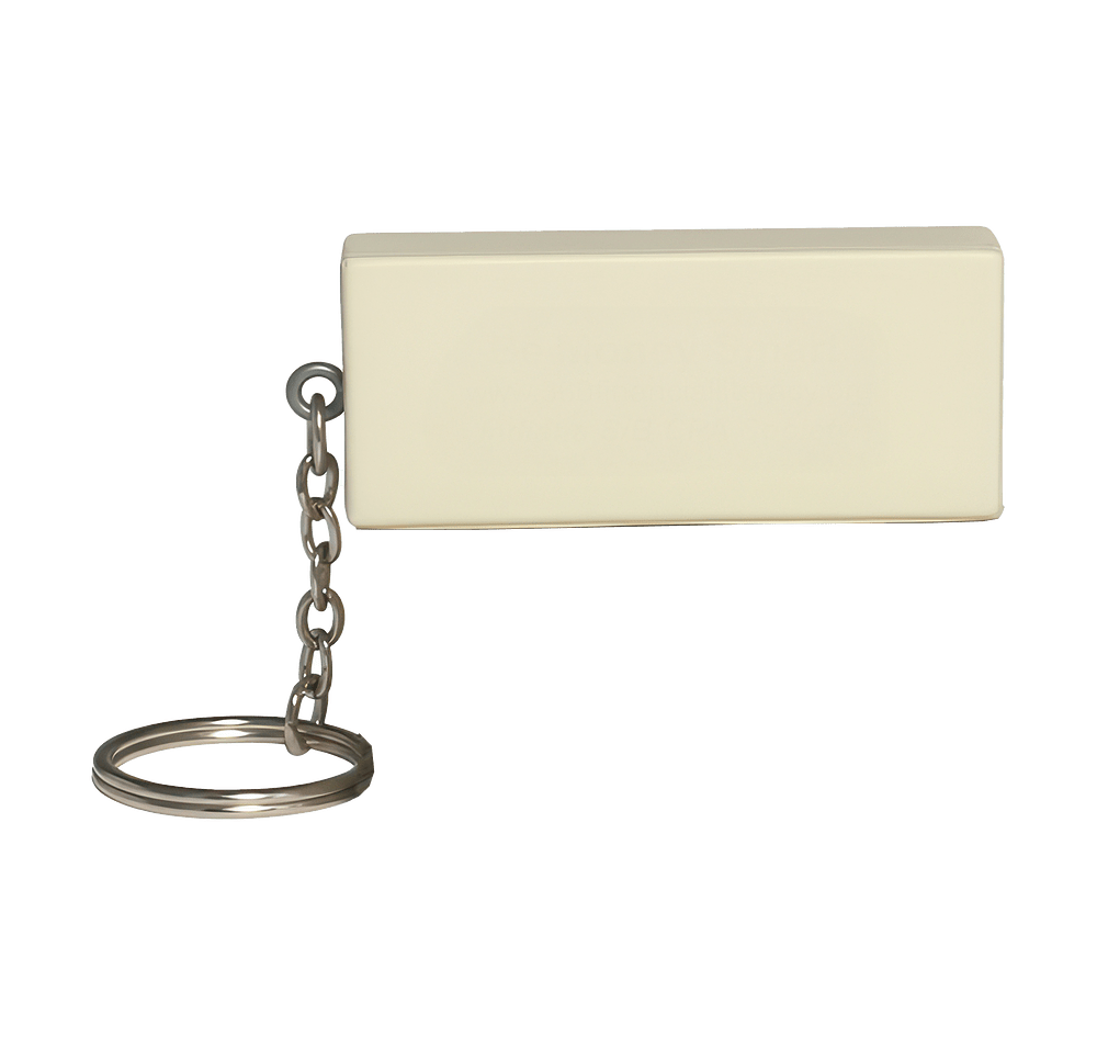 $100 Bill Stress Reliever Keychain-default