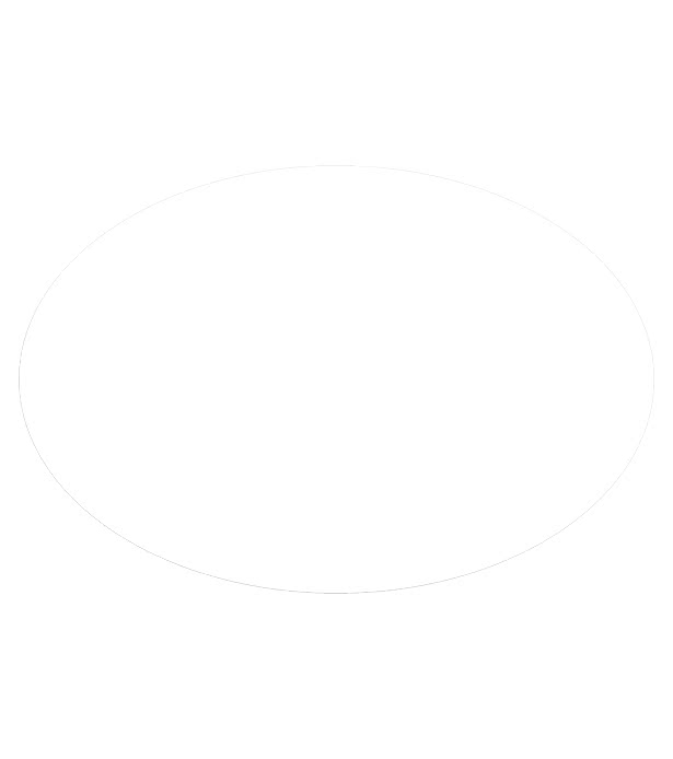 11.13" x 16.5" Car Sign Oval Magnet