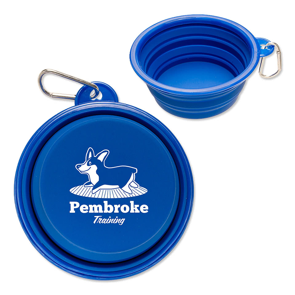 Feed 'N Go Collapsible Pet Bowl with Carabiner