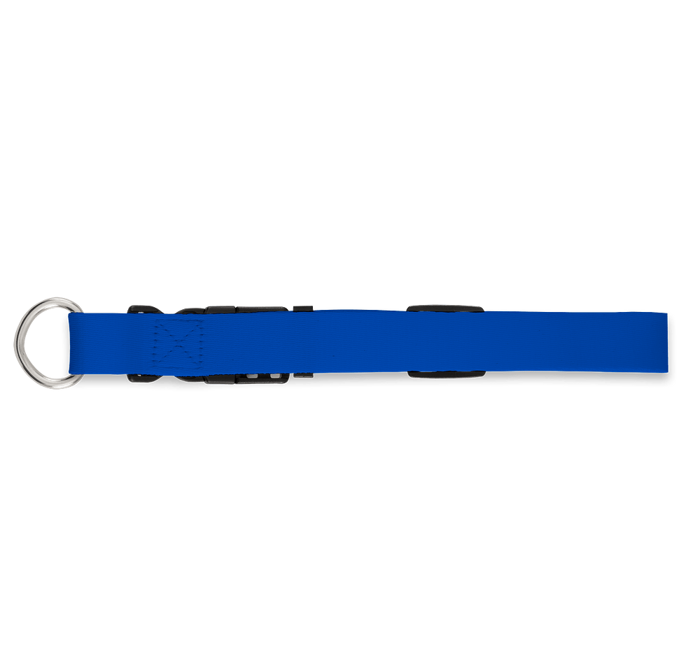 Full Color Adjustable Pet Collar, 1" Wide-default