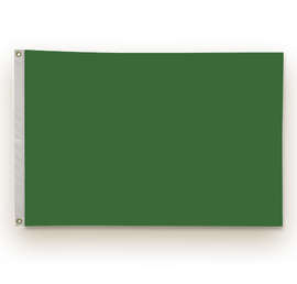 Full Color 2' x 3' Double Sided Nylon Flag - Color: Kelly Green