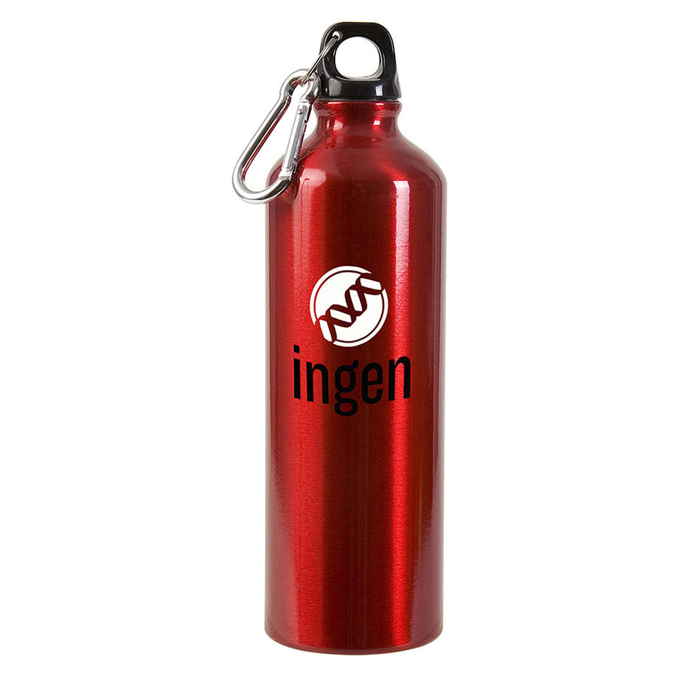 25 oz. Aluminum Alpine Sports Water Bottle