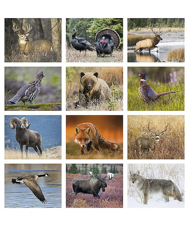 Sportsman Calendar