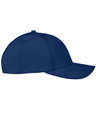 Swannies Golf Delta Baseball Hat