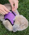 16 ft. Retractable Pet Leash