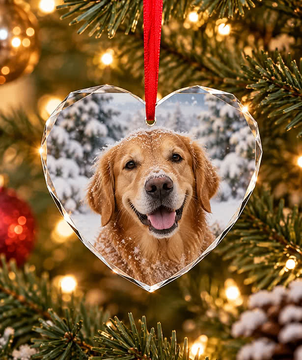 3" Glass Heart Ornament