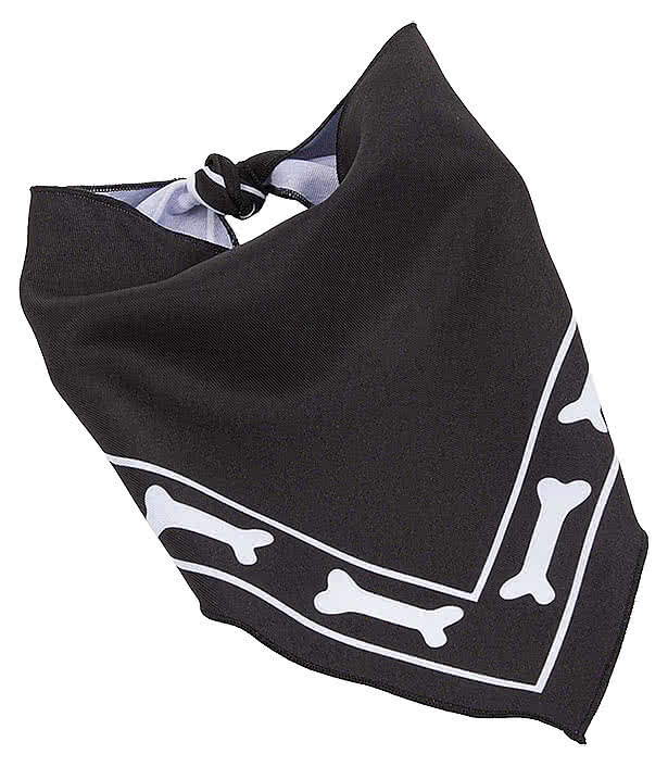 Paws & Claws Pet Bandana