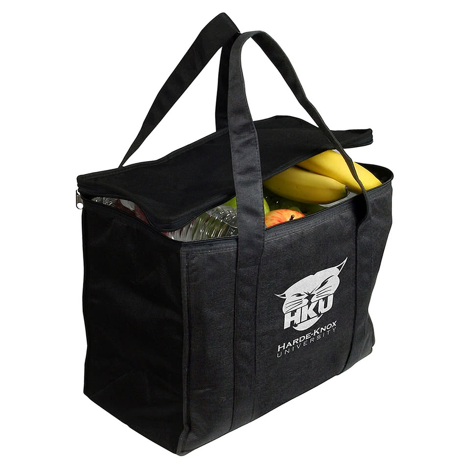 Picnic Recycled 24 Can Cooler Bag