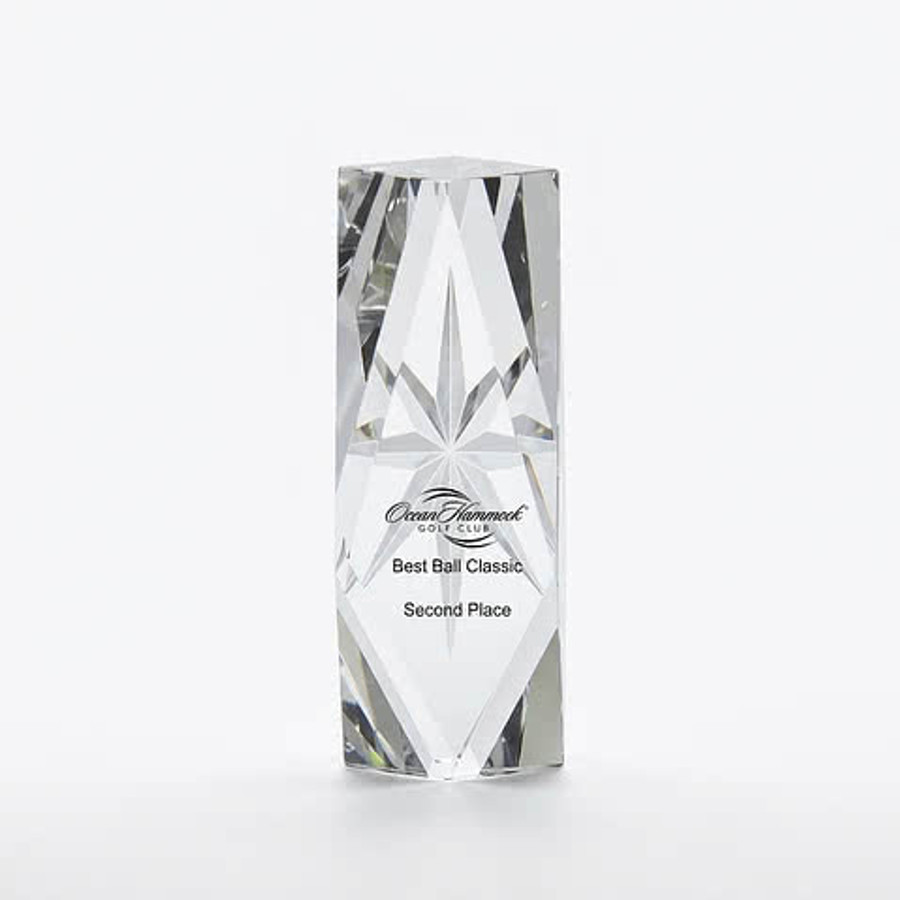 Algiers Medium Optically Perfect Award in Clear