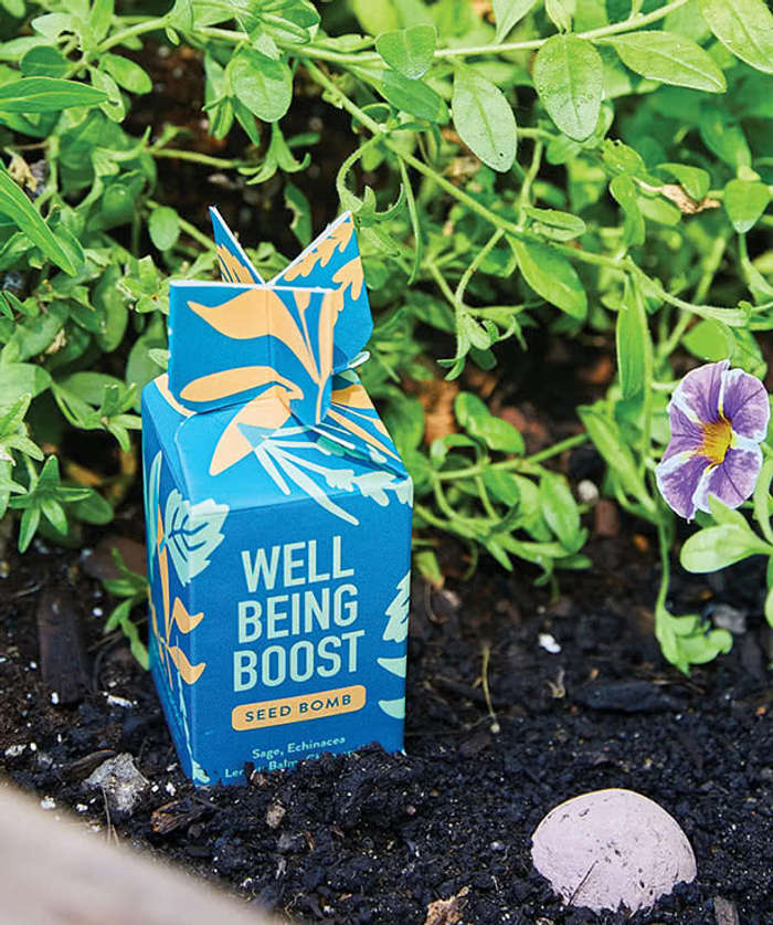 Modern Sprout Encouragement Seed Bomb