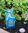 Modern Sprout Encouragement Seed Bomb