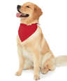 Doggie Skins USA-Made 100% Cotton Pet Bandana (Corner Design)