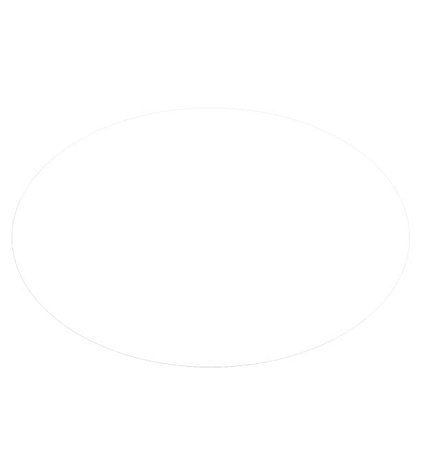 3.75 in. x 5.75 in. Oval Magnet 
