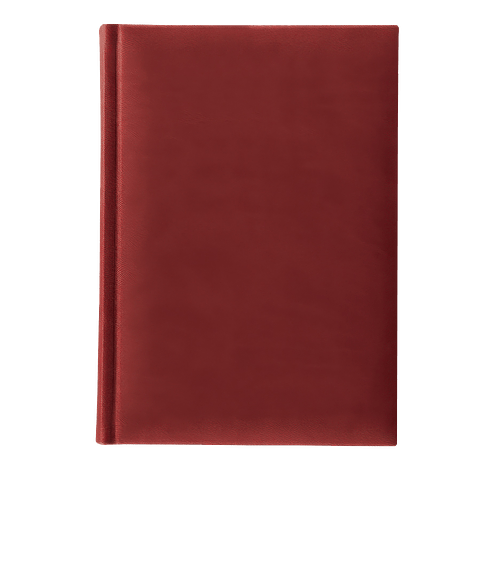 Castelli Debossed Tucson Grande Graph Hard Cover Notebook in Red