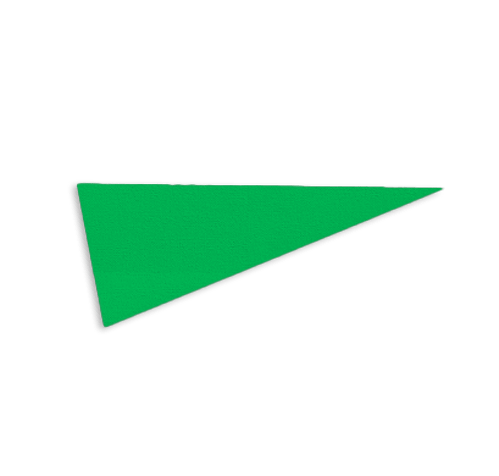 9" x 24" Felt Pennant-default