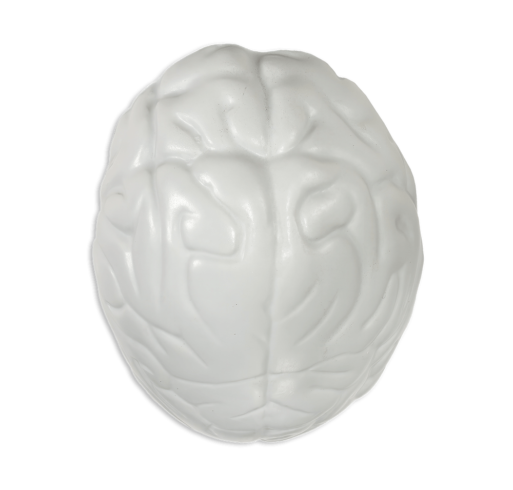 Brain Shaped Stress Reliever-default