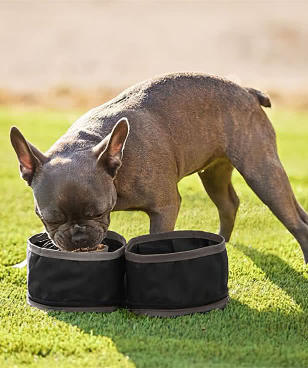 Dri Duck Packable Duo Pet Dish