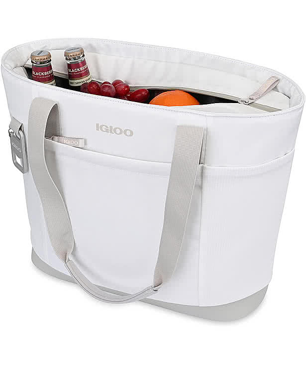 Igloo Day Chiller 20 Can Soft Cooler Tote Bag
