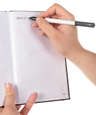 Paper Mate Write Bros Stick Pen (black ink)