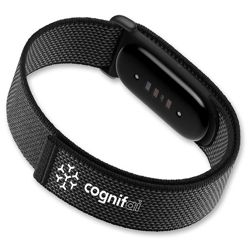 Google Fitbit Air