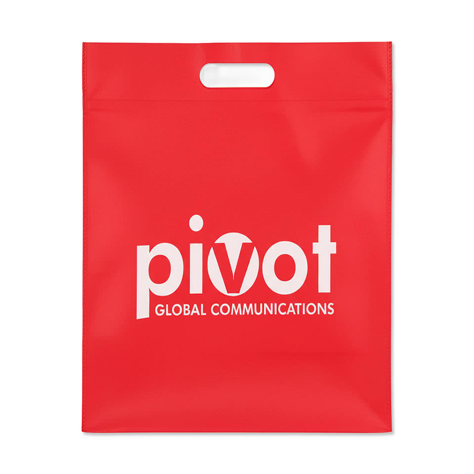 Echo Large Non-Woven Tote