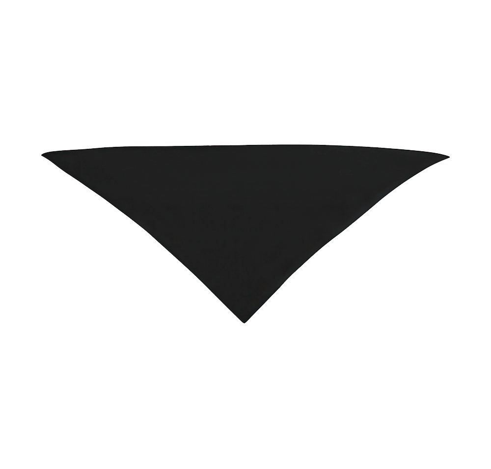 Small Triangle Recycled Pet Bandana-default