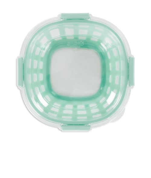 Ello 5 Cup Duraglass Lunch Bowl in Yucca