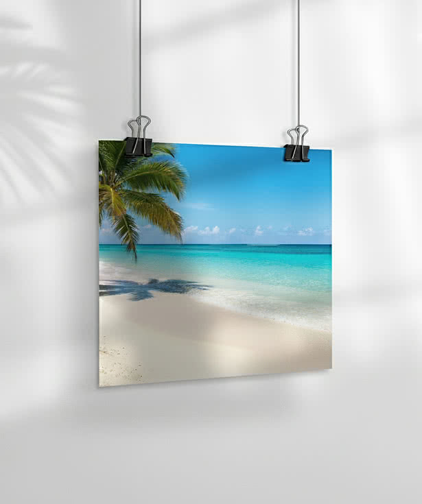 Full Color 12" x 12" Matte Poster