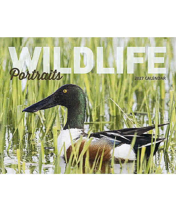 Wildlife Portraits Wall Calendar