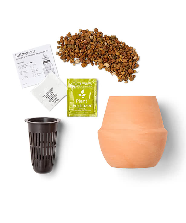 Laser Engraved Modern Sprout Modern Terracotta Bonsai Grow Kit