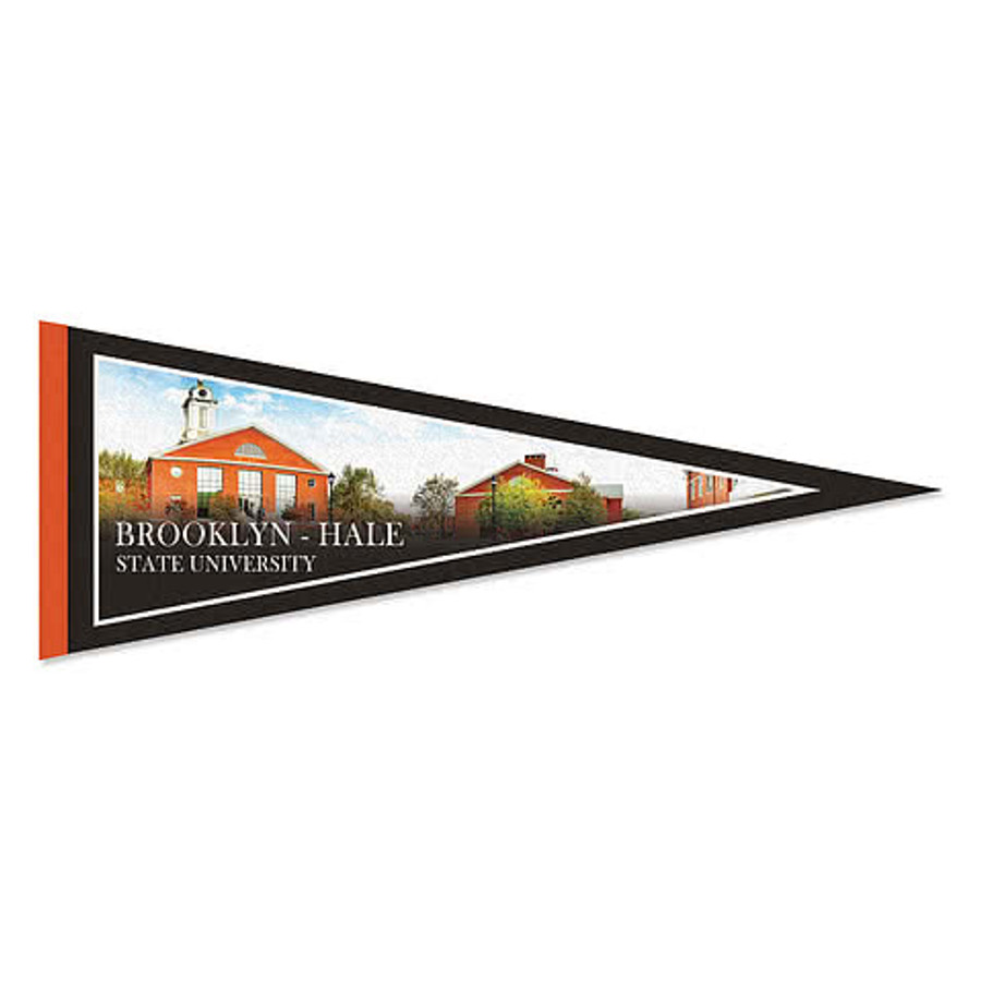 Full Color 9" x 24" Rigid Felt Pennant in White