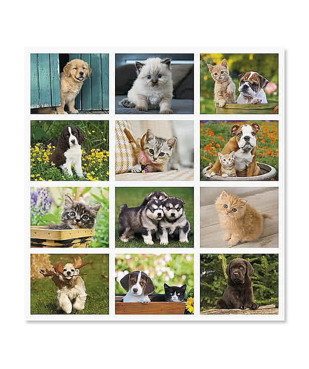 Puppies & Kittens Stapled Monthly Calendar