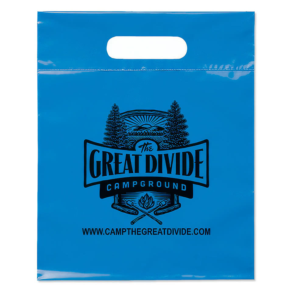 Full Color Small Plastic Handle Bag