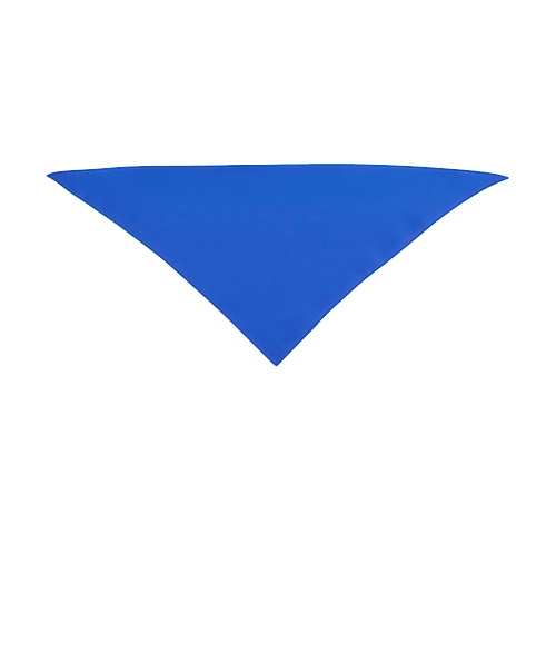 Small Triangle Recycled Pet Bandana in Blue