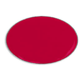 Oval Lapel Pin - Color: Cardinal / Silver