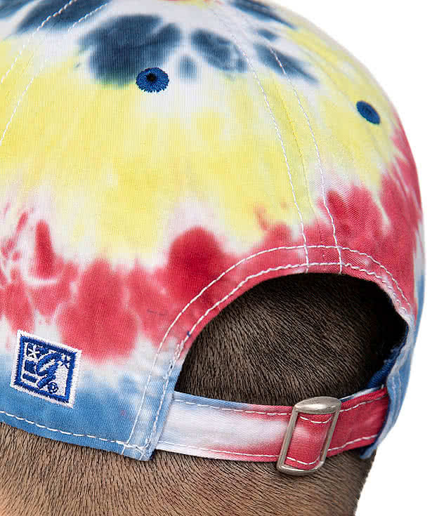 The Game Tie-Dye Twill Hat