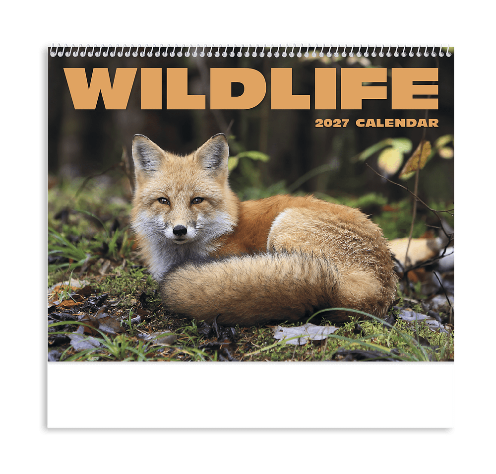Full Color Wildlife Spiral Wall Calendar-default