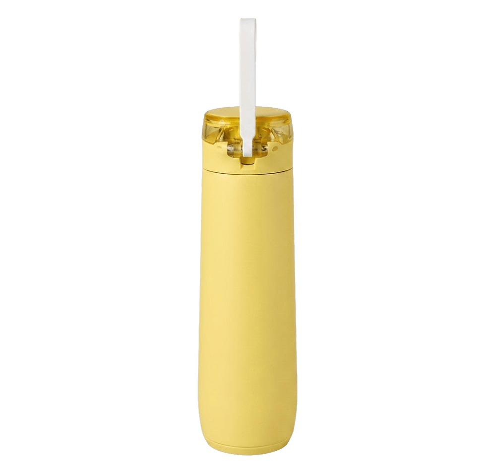 Stanley 20 oz. Flowstate Spring Water Bottle