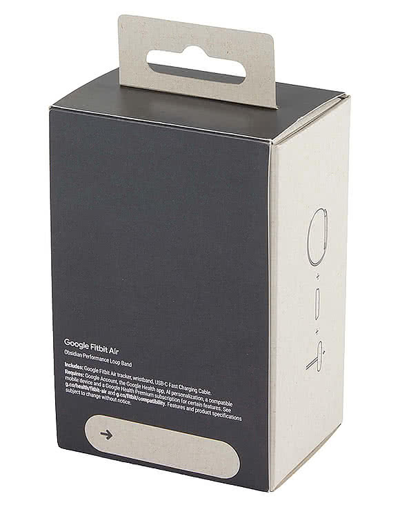 Google Fitbit Air